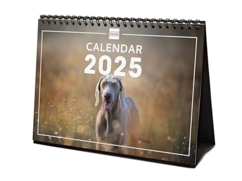 Finocam - Calendario Imágenes de Sobremesa Internacional 2025 Mes Vista Enero 2025 - Diciembre 2025 (12 meses) Dogs Internacional - Imagen 1