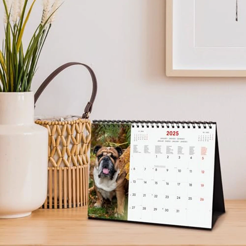 Finocam - Calendario Imágenes de Sobremesa Internacional 2025 Mes Vista Enero 2025 - Diciembre 2025 (12 meses) Dogs Internacional - Imagen 2