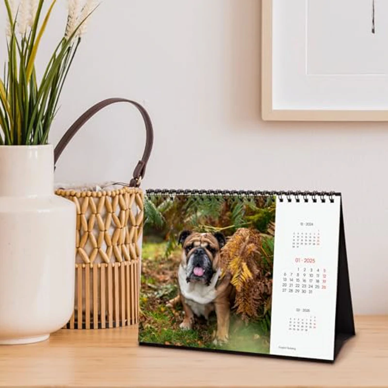 Finocam - Calendario Imágenes de Sobremesa Internacional 2025 Mes Vista Enero 2025 - Diciembre 2025 (12 meses) Dogs Internacional - Imagen 3